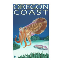 Oregon-Küsten-Kopffüßer Leinwand Drucke