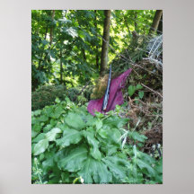 Oregon "Passionflower" #6 Posterdrucke