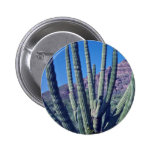 Orgelpfeife-Kaktus-Blumen Button
