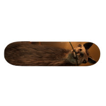 Orgle Individuelle Decks