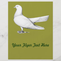 Orientalische Rolle:  Fliegen-Art Flyerdesign