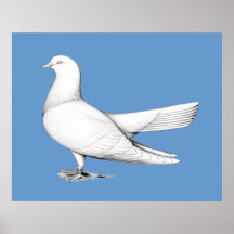 Orientalische Rolle:  Fliegen-Art Posterdruck