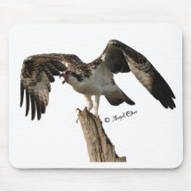 OSPREY Mausunterlage Mauspads