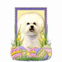Osterei-Plätzchen - Bichon Frise Foto Skulptur
