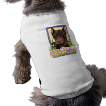 Osterei-Plätzchen - Dobermann Hundetshirt