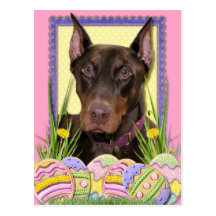 Osterei-Plätzchen - Dobermann Postkarte