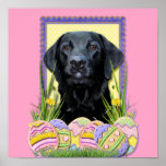 Osterei-Plätzchen - Labrador - Schwarzes Posterdrucke
