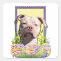 Osterei-Plätzchen - Pitbull - Jersey-Mädchen Quadrataufkleber