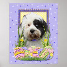 Osterei-Plätzchen - tibetanisches Terrier Plakatdrucke