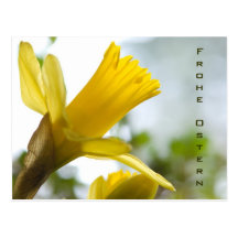 Osterglocke • Oster-Postkarte