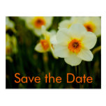 Osterglocken • Save-the-Date-Postkarte