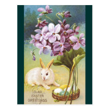 Osterhase u. Veilchen Postkarten