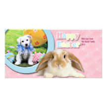 Ostern - Bichon Frise X - Sammy Photokartenvorlagen