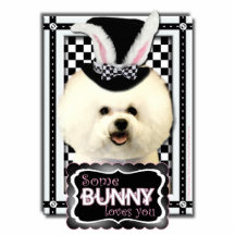 Ostern - etwas Häschen-Lieben Sie - Bichon Frise Photo Statuen