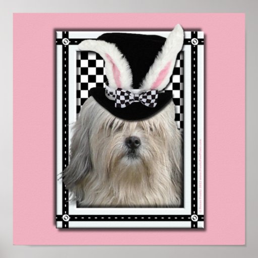 Ostern - etwas Häschen-Lieben Sie - Lowchen Posterdrucke