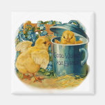 Ostern-Küken am Spiel Magnete