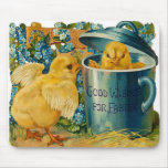 Ostern-Küken am Spiel Mousepads