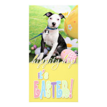 Ostern - Pitbull - Artillerist Personalisierte Foto Karte