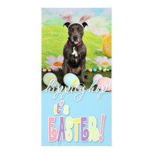 Ostern - Pitbull - Puddin Kopf Bilderkarten