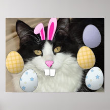 Osternschwarzweiss-Katze Posterdrucke