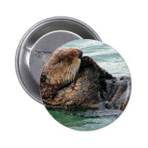 Otter im Gebet Anstecknadel