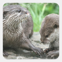 Otter-Lebensraum-Aufkleber