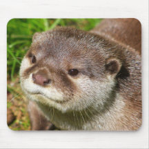 Otter-Porträt ....... Mauspad