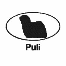 Ovales Puli gesticktes Hemd
