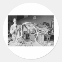 Paläontologie-Wissenschaftler-Baby-Dinosaurier Vin Runde Sticker