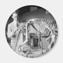 Paläontologie-Wissenschaftler-Baby-Dinosaurier Vin Magnete