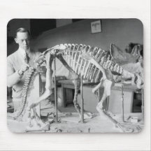 Paläontologie-Wissenschaftler-Baby-Dinosaurier Vin Mousepads