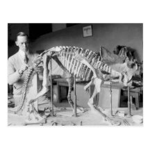 Paläontologie-Wissenschaftler-Baby-Dinosaurier Vin Postkarte