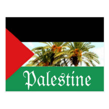 Palästina-Flagge Postkarte