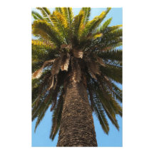 Palm Tree Stationery Design