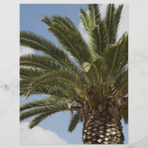 Palme1 Flyer