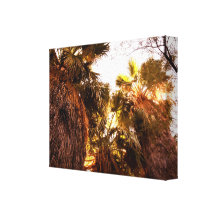 Palme-14x11 eingewickelte Leinwand Gespannter Galerie Druck
