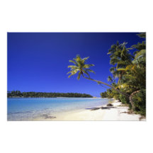 Palme gezeichnete Strand Cookinseln 4 Photodrucke