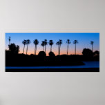 Palme-Sonnenaufgang Plakatdruck