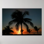 Palme-Sonnenuntergang Poster