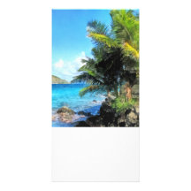 Palmen und Strand St Thomas VI Bilderkarte