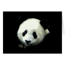 Panda-Bär Karten