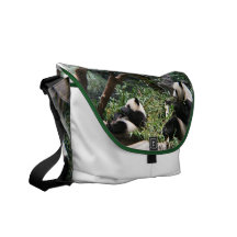 Panda-Bärn-Bote-Tasche Kurier Taschen