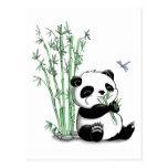 Panda, der Bambus isst Postkarte