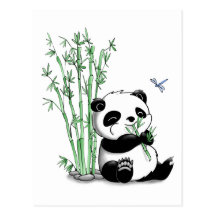 Panda, der Bambus isst Postkarte