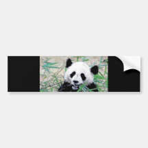 Panda, der Blätter isst Autoaufkleber