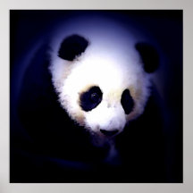 Panda-Gesichts-Plakat - Panda-Plakat-Drucke