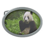 Panda Gürtelschnallen
