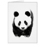 Panda Karten