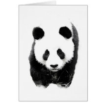 Panda Karten