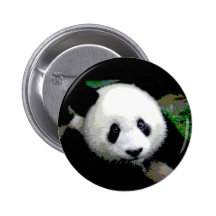 Panda-Pop-Kunst Buttons